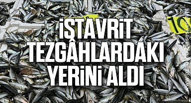 İstavrit Tezgâhlardaki Yerini Aldı
