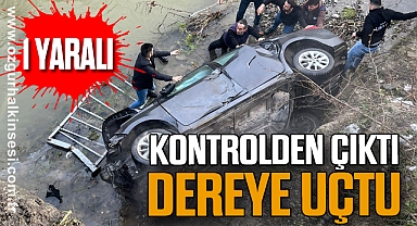 Kontrolden çıktı dereye uçtu; 1 yaralı
