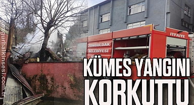 KÜMES YANGINI KORKUTTU