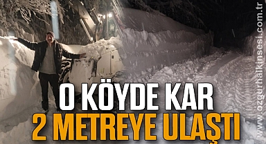 O Köyde kar 2 metreye ulaştı