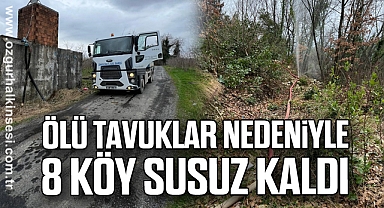 Ölü tavuklar nedeniyle 8 köy susuz kaldı
