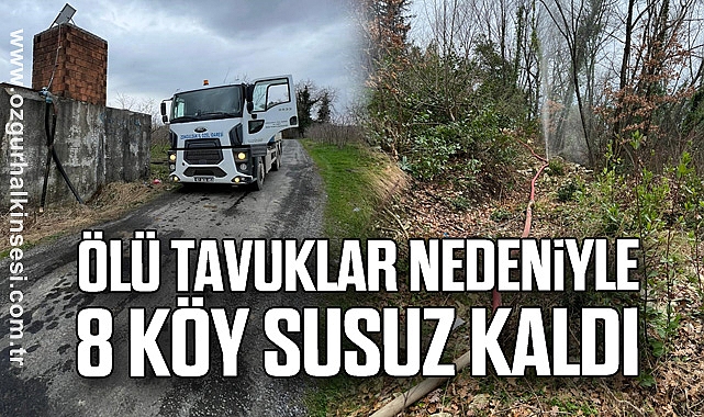 Ölü tavuklar nedeniyle 8 köy susuz kaldı