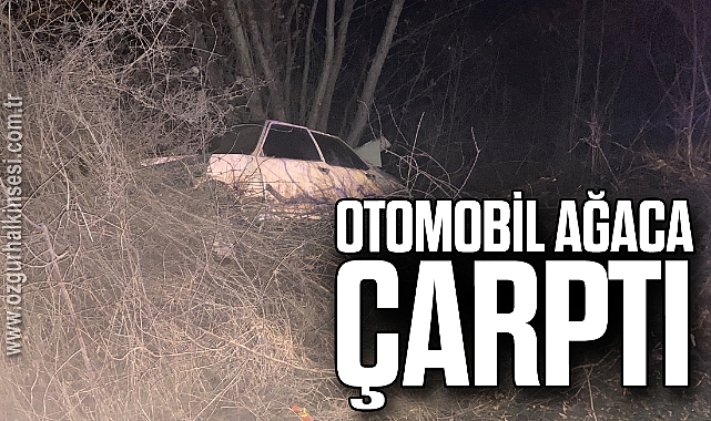Otomobil ağaca çarptı