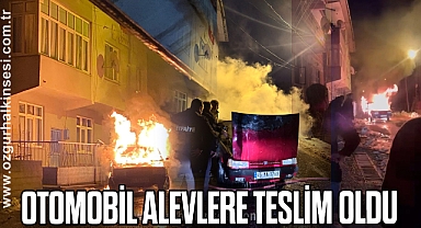 Otomobil alevlere teslim oldu