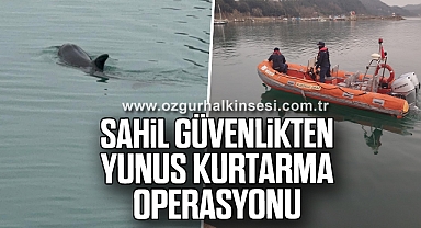 Sahil güvenlikten yunus kurtarma operasyonu