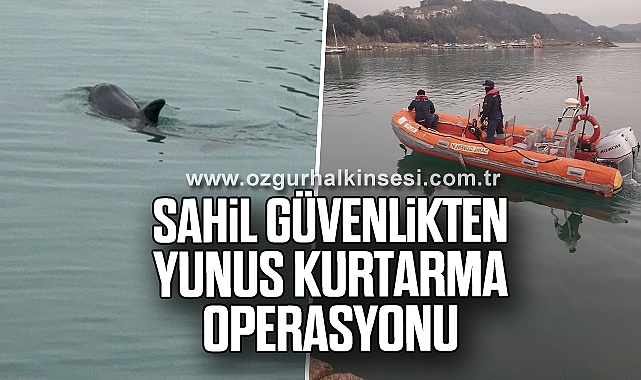 Sahil güvenlikten yunus kurtarma operasyonu