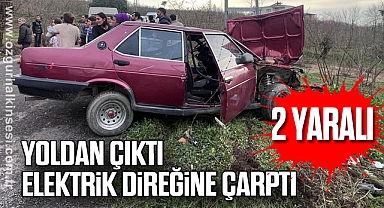 Yoldan çıktı elektrik direğine çarptı: 2 yaralı