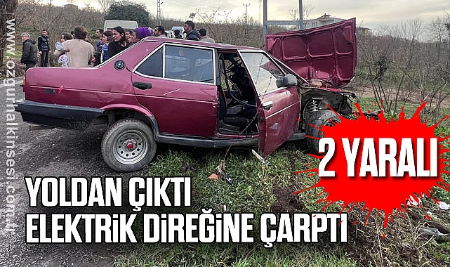 Yoldan çıktı elektrik direğine çarptı: 2 yaralı