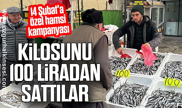 14 Şubat'a özel hamsi kampanyası: Kilosunu 100 liradan sattılar