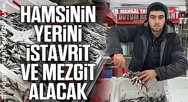 Hamsinin yerini istavrit ve mezgit alacak