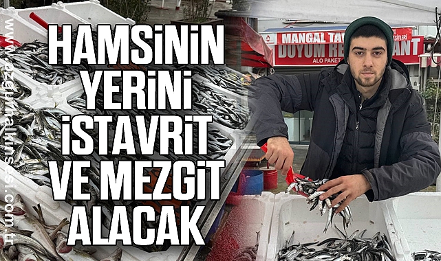 Hamsinin yerini istavrit ve mezgit alacak