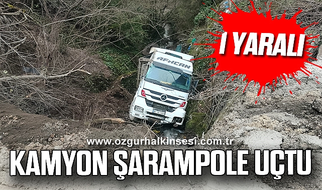 Kamyon şarampole uçtu: 1 Yaralı
