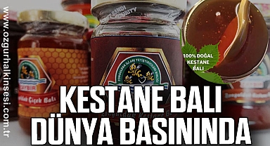 KESTANE BALI DÜNYA BASININDA