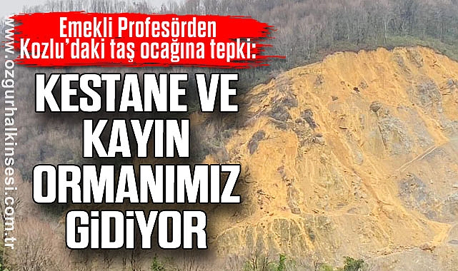 “KESTANE VE KAYIN ORMANIMIZ GİDİYOR”