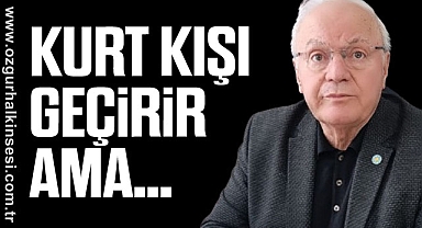 KURT KIŞI GEÇİRİR AMA…