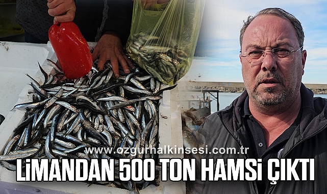 Limandan 500 ton hamsi çıktı