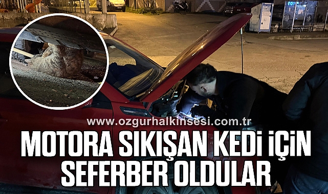 Motora sıkışan kedi için seferber oldular