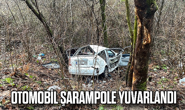 Otomobil şarampole yuvarlandı