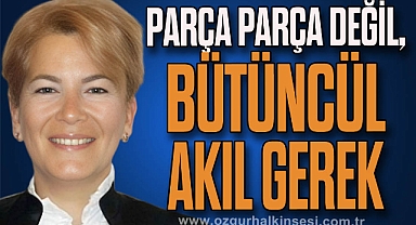 Parça Parça Değil, Bütüncül Akıl Gerek