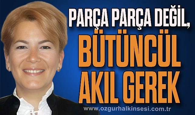 Parça Parça Değil, Bütüncül Akıl Gerek