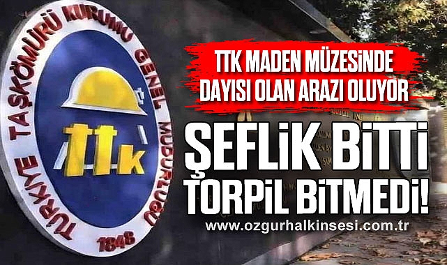 Şeflik bitti torpil bitmedi!