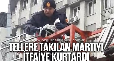 TELLERE TAKILAN MARTIYI İTFAİYE KURTARDI