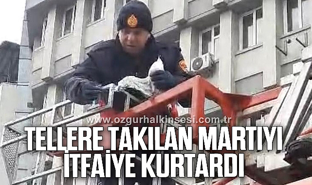 TELLERE TAKILAN MARTIYI İTFAİYE KURTARDI