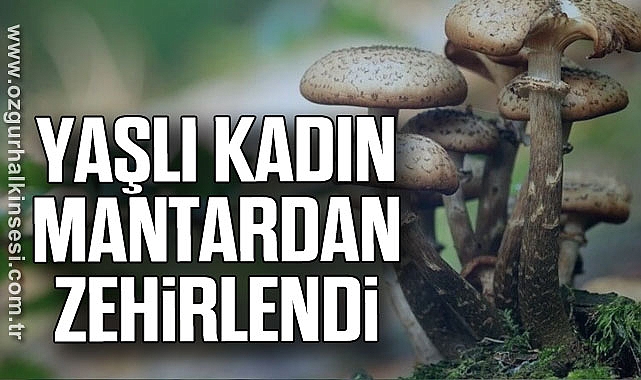 YAŞLI KADIN MANTARDAN ZEHİRLENDİ