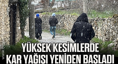 Yüksek kesimlerinde kar yağışı yeniden başladı