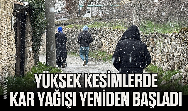 Yüksek kesimlerinde kar yağışı yeniden başladı
