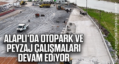 ALAPLI'DA OTOPARK VE PEYZAJ ÇALIŞMALARI DEVAM EDİYOR