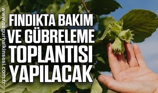 “FINDIKTA BAKIM VE GÜBRELEME” TOPLANTISI YAPILACAK