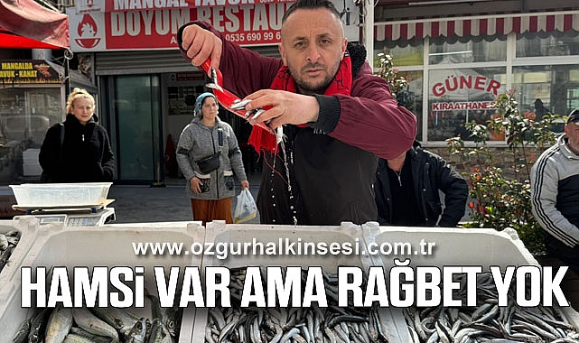 Hamsi Var Ama Rağbet Yok