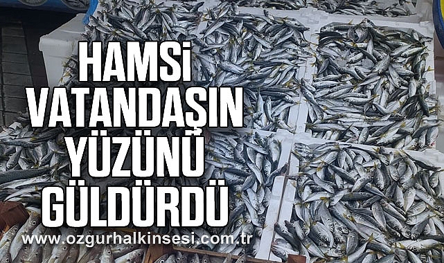Hamsi Vatandaşın Yüzünü Güldürdü