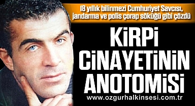 KİRPİ CİNAYETİNİN ANOTOMİSİ