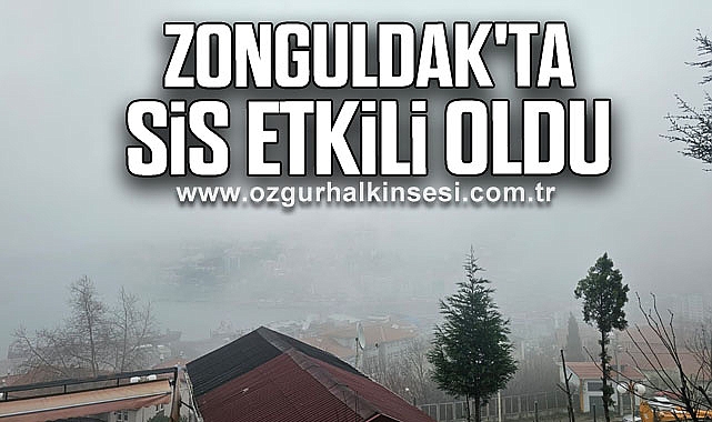 Zonguldak'ta sis etkili oldu