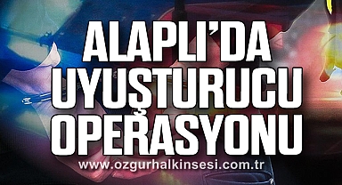 ALAPLI'DA UYUŞTURUCU OPERASYONU