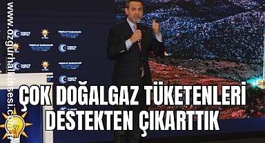 Bakan Bayraktar: Çok doğalgaz tüketenleri destekten çıkarttık