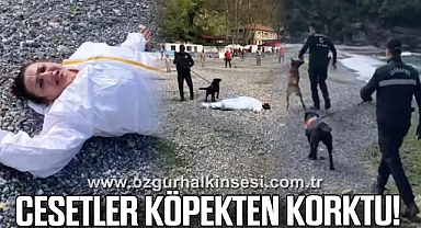 CESETLER KÖPEKTEN KORKTU!