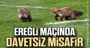 EREĞLİ MAÇINDA DAVETSİZ MİSAFİR