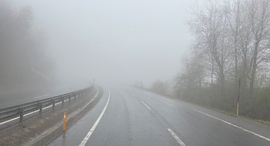 EREĞLİ YOLUNU SİS SARDI 