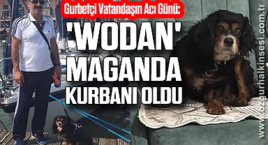 Gurbetçi Vatandaşın Acı Günü: Sadık Dostu 'Wodan' Maganda Kurbanı Oldu