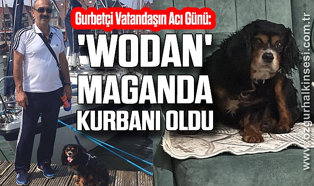Gurbetçi Vatandaşın Acı Günü: Sadık Dostu 'Wodan' Maganda Kurbanı Oldu