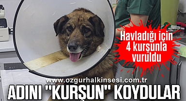 Havladığı için 4 kurşunla vuruldu; Adını 