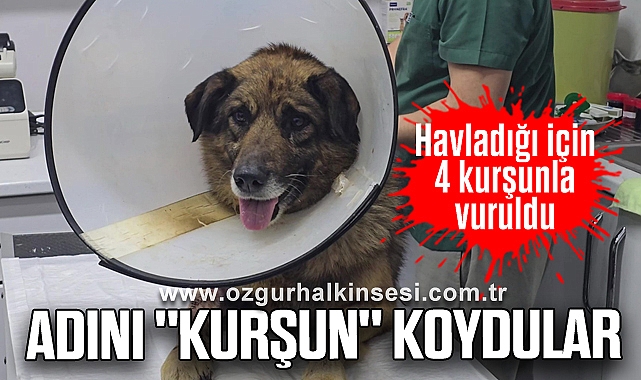 Havladığı için 4 kurşunla vuruldu; Adını 