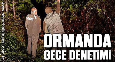 ORMANDA GECE DENETİMİ