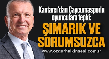 “ŞIMARIK VE SORUMSUZCA”