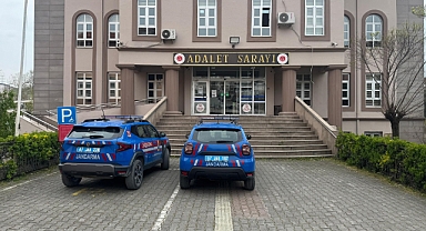 Süs bitkisi bahçesinde uyuşturucu özellikli kaktüs ele geçirildi