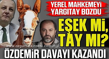 Yerel Mahkemeyi Yargıtay Bozdu: Özdemir Davayı Kazandı