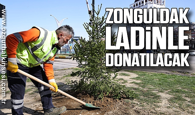 ZONGULDAK LADİNLE DONATILACAK
